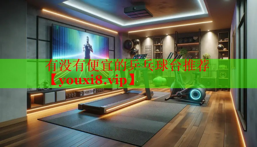 有没有便宜的乒乓球台推荐